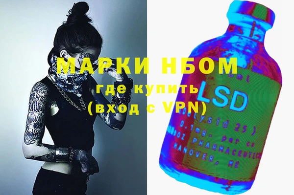 гашик Алексеевка