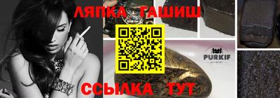 стаф Тула