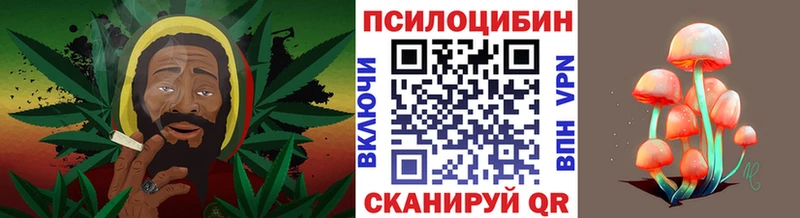 Галлюциногенные грибы Psilocybine cubensis  Нижнеудинск 