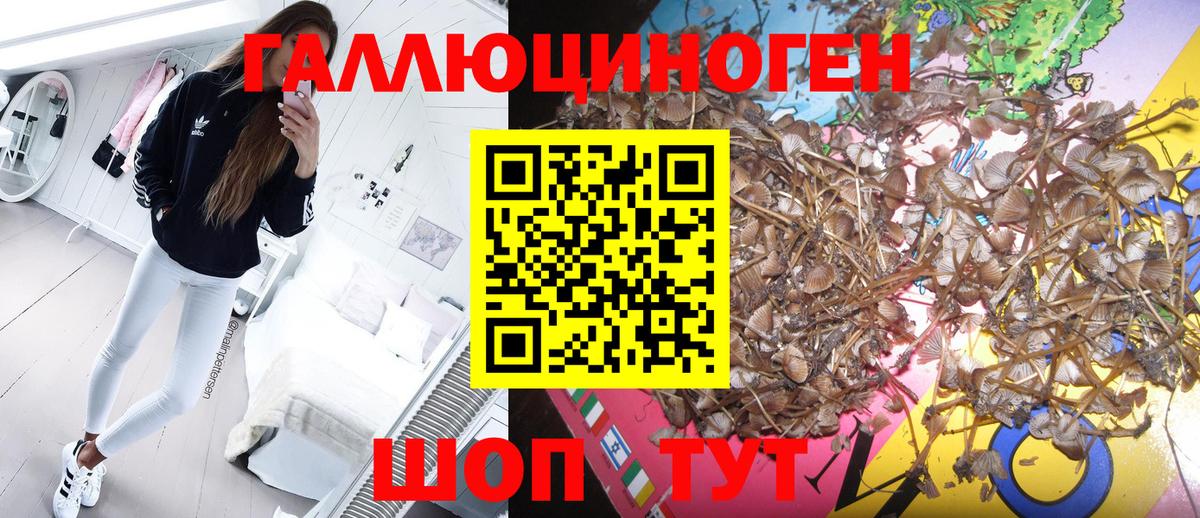 Галлюциногенные грибы MAGIC MUSHROOMS  Вход с VPN  Нижнеудинск 